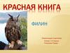 Красная Книга. Филин