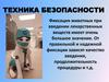 Техника безопасности при фиксации животных для введения лекарственных веществ