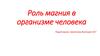 Роль магния в организме человека