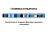 Генетика интеллекта. Генетические и средовые факторы в развитии интеллекта