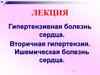 Гипертензивная болезнь сердца. Вторичная гипертензия. Ишемическая болезнь сердца