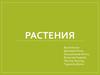 Растения. Классификация растений
