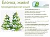 Ёлочка, живи! Природоохранная акция