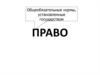Общеобязательные нормы, установленные государством. Право