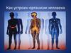 Как устроен организм человека