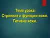 Строение и функции кожи. Гигиена кожи