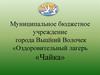 Муниципальное бюджетное учреждение города Вышний Волочек «Оздоровительный лагерь «Чайка»