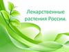 Лекарственные растения России