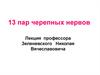 13 пар черепных нервов