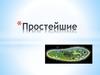 Простейшие