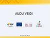 Audu veidi