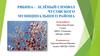 Рябина - зелёный символ Чусовского муниципального района