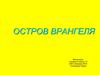 Остров Врангеля