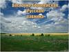 Восточно-Европейская Русская равнина