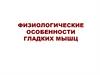 Физиология гладких мышц