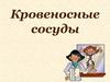 Кровеносные сосуды