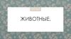 Животные домашние и дикие
