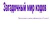 Загадочный мир кодов. 5 класс
