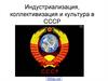 Индустриализация, коллективизация и культура в СССР