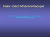Класс Млекопитающие. Экологические группы животных – отряд хищники. 7 класс