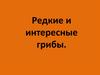 Редкие и интересные грибы