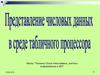 Представление числовых данных в среде табличного процессора