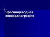 Чреспищеводная эхокардиография