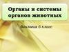 Органы и системы органов животных