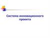 Система инновационного проекта