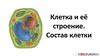 Клетка и её строение. Состав клетки