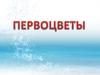 Первоцветы