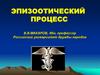 Эпизоотический процесс