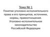 Понятие уголовно-исполнительного права и его принципов, источники, нормы, правоотношения. Тема № 1