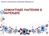 Комнатные растения в интерьере