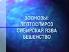 Зоонозы: лептоспироз, сибирская язва, бешенство