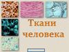 Ткани человека