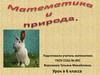 Математика и природа