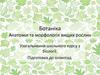 Анатомія та морфологія вищих рослин. Осмос