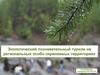 Экологический познавательный туризм  на региональных особо охраняемых территориях