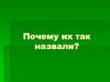 Птицы. Почему их так назвали?