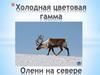 Холодная цветовая гамма. Олени на севере