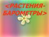 Растения - предсказатели погоды