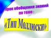 Тип Моллюски. Открытый урок