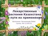 Лекарственные растения Казахстана и их применение