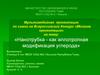 Нанотрубка - как аллотропная модификация углерода