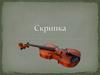 Скрипка. История создания скрипки. Устройство скрипки