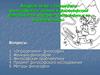 Специфика философского знания и философской деятельности. Предмет философии и ее проблематика