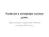 Растения в интерьере жилого дома