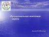 Функциональная анатомия черепа