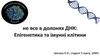 Не все в долонях ДНК: епігенетика та імунні клітини